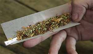 Marihuana transgénica, el último negocio de Monsanto y "Microsoft"