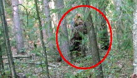 El Sasquatch (Yeti canadiense) grabado por dos excursionistas