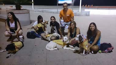 Canis y Felis, cuando la vida se entrega a los animales