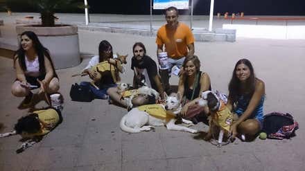 Canis y Felis, cuando la vida se entrega a los animales