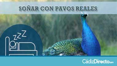 Pavo Real