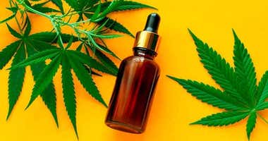 ¿Cuáles son los beneficios del CBD?