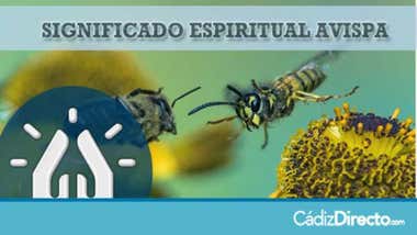 Avispa