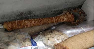 'Pesadilla en la cocina' en un restaurante de Chipiona: "De primero, cucarachas"