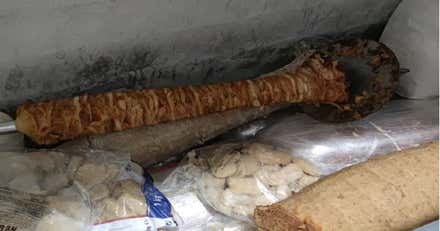 'Pesadilla en la cocina' en un restaurante de Chipiona: "De primero, cucarachas"