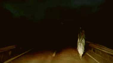 Carreteras malditas con 'actividad paranormal' en la provincia de Cádiz