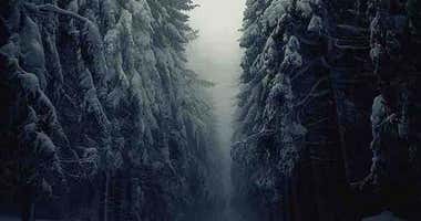 Bosques malditos del mundo