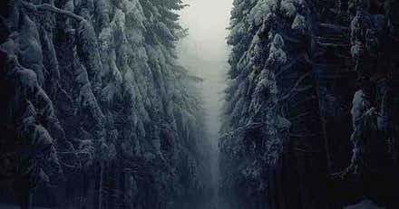 Bosques malditos del mundo