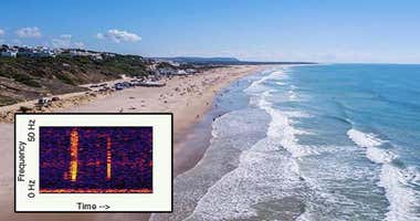El intrigante sonido submarino del "Bloop" se escucha en Cádiz