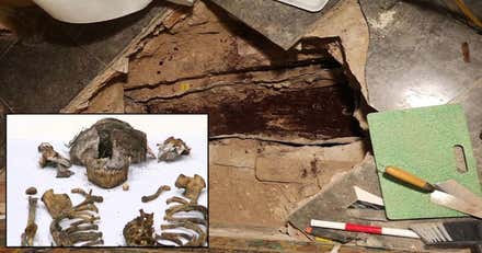 El enigma de la “niña de nadie” del Alcázar de Sevilla