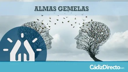 almas gemelas o llamas