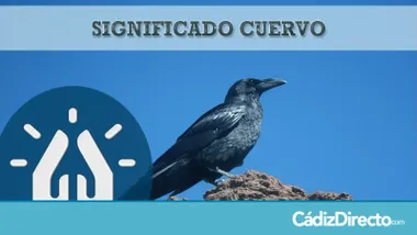 Cuervo Negro