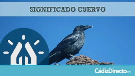 Cuervo Negro