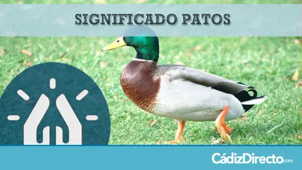 Patos