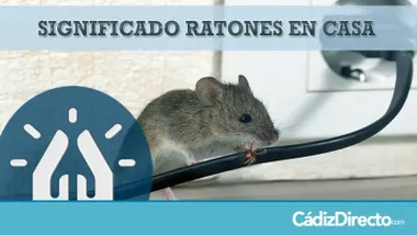Ratones