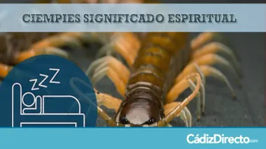 Ciempiés