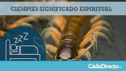 Ciempiés