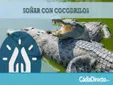 Qué Significa Soñar con Cocodrilos según la Biblia