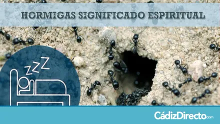 Hormigas