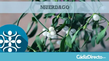 Muérdago