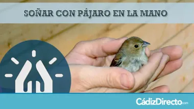 Pájaros
