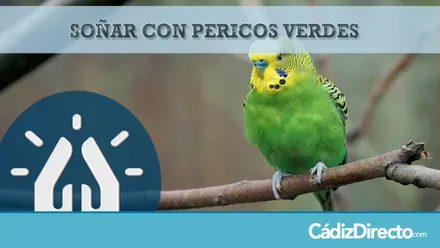 Periquito verde