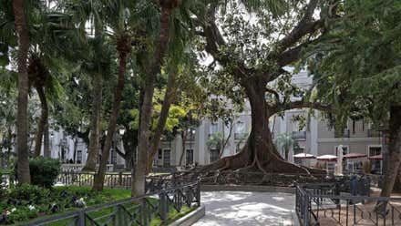 Cádiz aprovechará el agua de dos pozos subterráneos para baldeo y limpieza