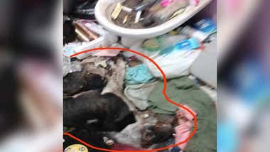 Situación de extrema insalubridad denunciada en el Patio Santa Teresa debido a una vecina con 'Síndrome de Diógenes'