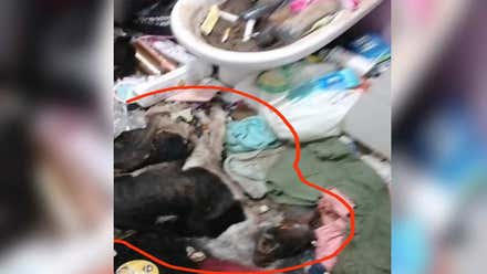 Situación de extrema insalubridad denunciada en el Patio Santa Teresa debido a una vecina con 'Síndrome de Diógenes'