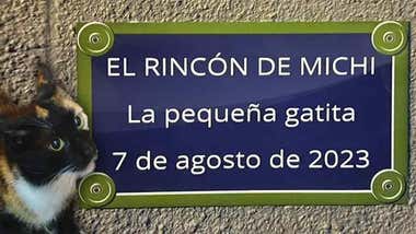 La conmovedora historia de la gata 'Michi' en Cádiz y la placa que la recuerda en la calle Cruz Roja