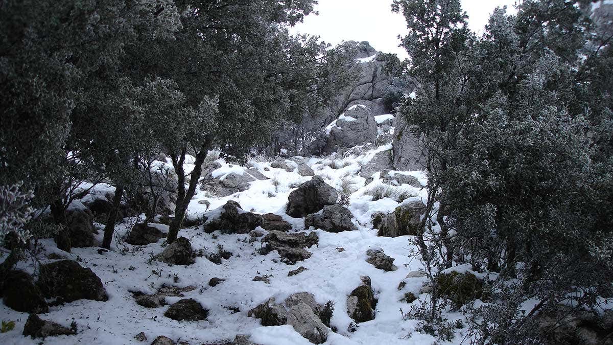 ¿Sabes qué municipio de Cádiz está a mayor altitud? ¿Y a menor? Grazalema no es el rey de la montaña ni Cádiz está sentada a la orilla del mar