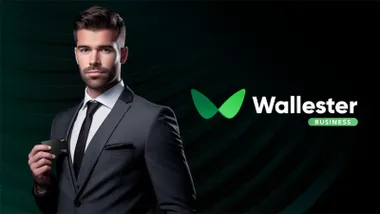 Optimización del manejo del gasto empresarial mediante innovadoras soluciones FinTech en línea