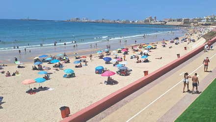 Greenpeace también alerta del peligro para Cádiz del aumento del nivel del mar por el cambio climático