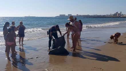 Precaución al bañarse: carabelas portuguesas en las playas de Cádiz