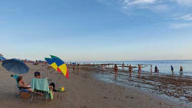 50 picaduras y tercer día de bandera por presencia de medusas en una semana en Cádiz