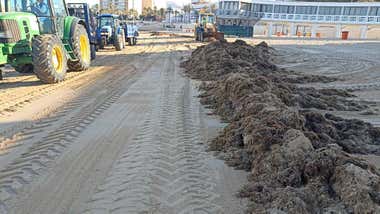 Cádiz retira más de 330 toneladas de algas de la playa de la Caleta en lo que va de verano