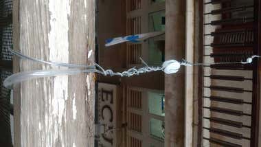 Indignación en Cádiz por el cableado de un alumbrado extraordinario en sus balcones