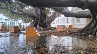 Los registros que han dejado en Cádiz las lluvias por la DANA