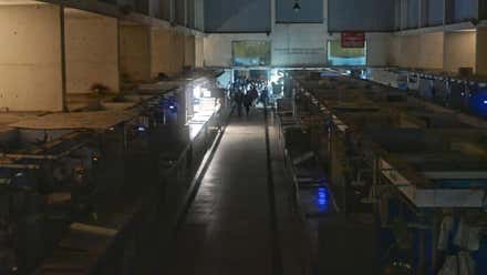 ¿Halloween o Tosantos? Tosantos de Cádiz sí que ha dado miedo (para mal)