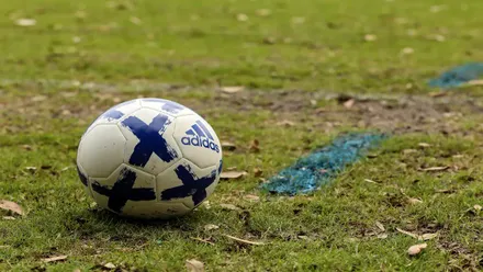 Próximos compromisos de la selección española hasta finales de 2024: las predicciones