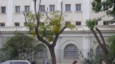 Agaden denuncia nuevas podas “abusivas y mal ejecutadas” en Cádiz