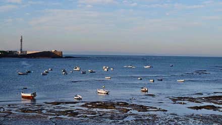 La Aemet activa alertas por viento de Levante en Cádiz