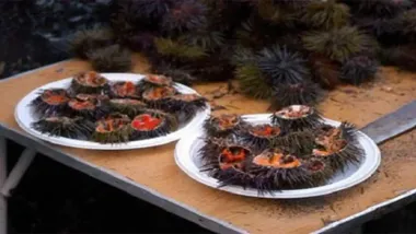 Cerrado el calendario de fechas para las fiestas gastronómicas previas al Carnaval de Cádiz 2025