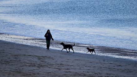 El viento de Levante pierde fuerza, pero seguirá en la provincia de Cádiz durante toda la semana