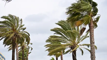 ¿Qué tiempo hará en Cádiz en Nochevieja y Año Nuevo? Las últimas previsiones de la Aemet