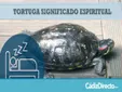 La Tortuga y su Significado Espiritual