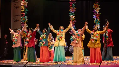 La chirigota 'Los hermanos del buen fin' en el Gran Teatro Falla