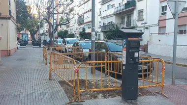 Nueva denuncia ecologista por “eliminación sistemática del arbolado“ en Cádiz