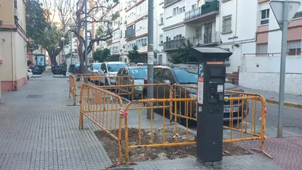 Nueva denuncia ecologista por “eliminación sistemática del arbolado“ en Cádiz