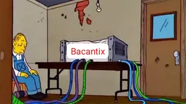 Los mejores memes del caos en la venta online del COAC de Cádiz: Bacantix tendencia nacional en X